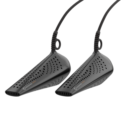 Hedgehog Drive - 12 volt for car